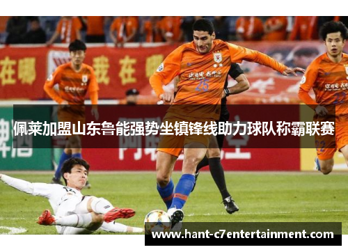 佩莱加盟山东鲁能强势坐镇锋线助力球队称霸联赛 佩莱加盟山东鲁能强势坐镇锋线助力球队称霸联赛